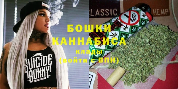 мдпв Волосово