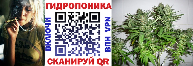 blacksprut как зайти  как найти закладки  Архангельск  МАРИХУАНА конопля 